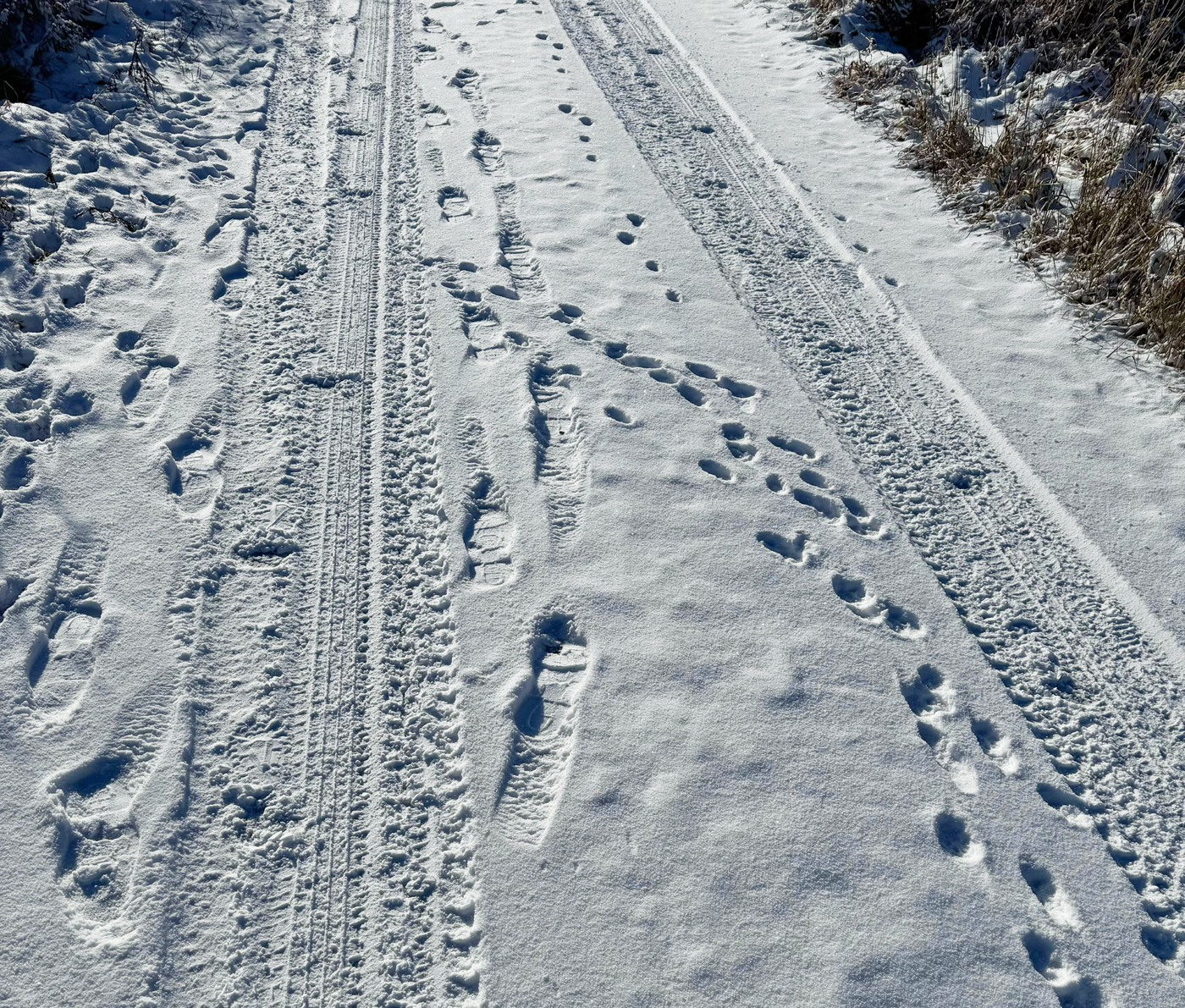 Sport bei großer Kälte